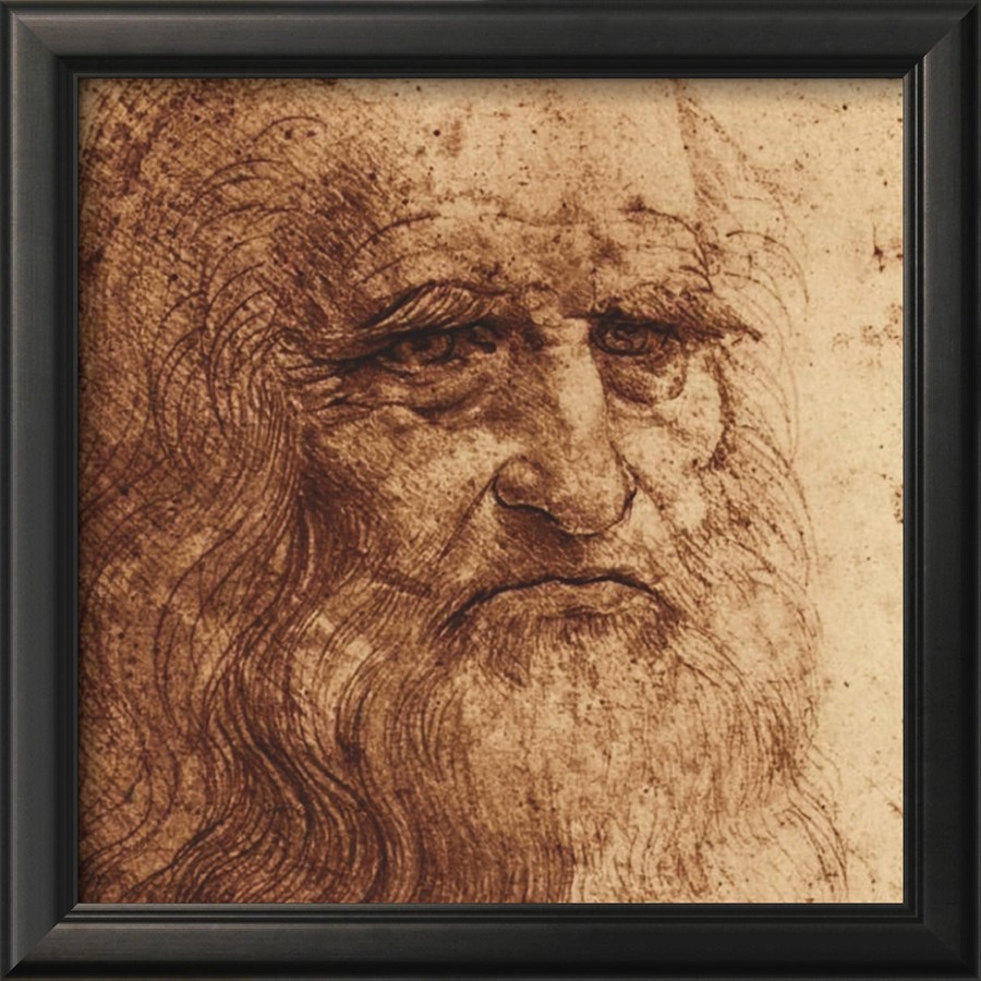 Self Portrait detail - Leonardo Da Vinci Painting